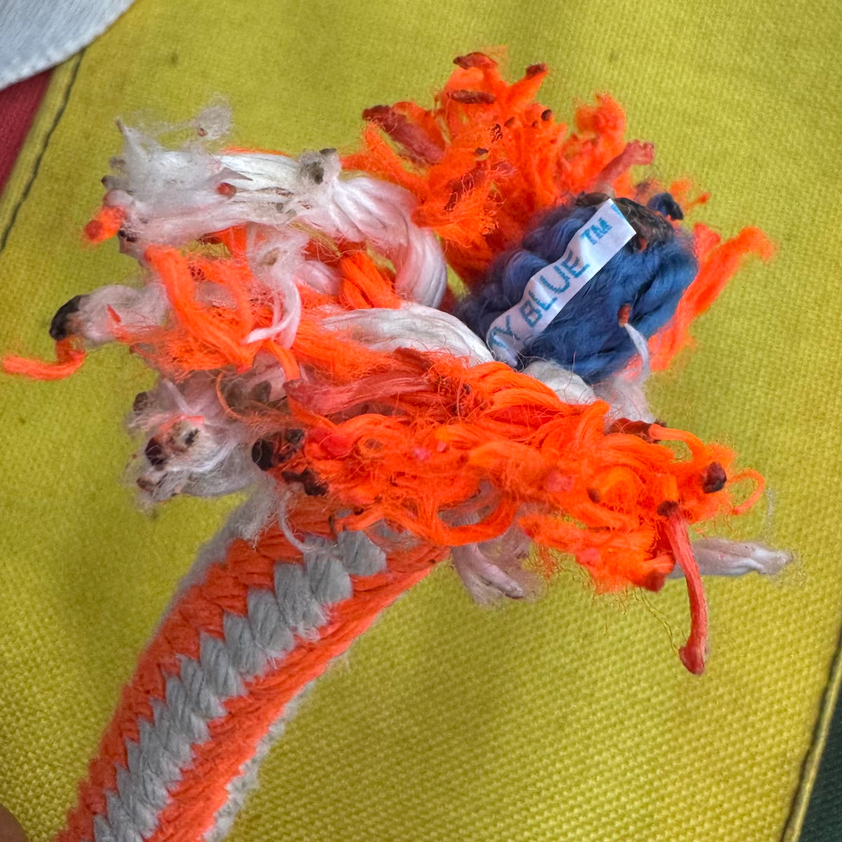 Pro Leash（プロリーシュ）